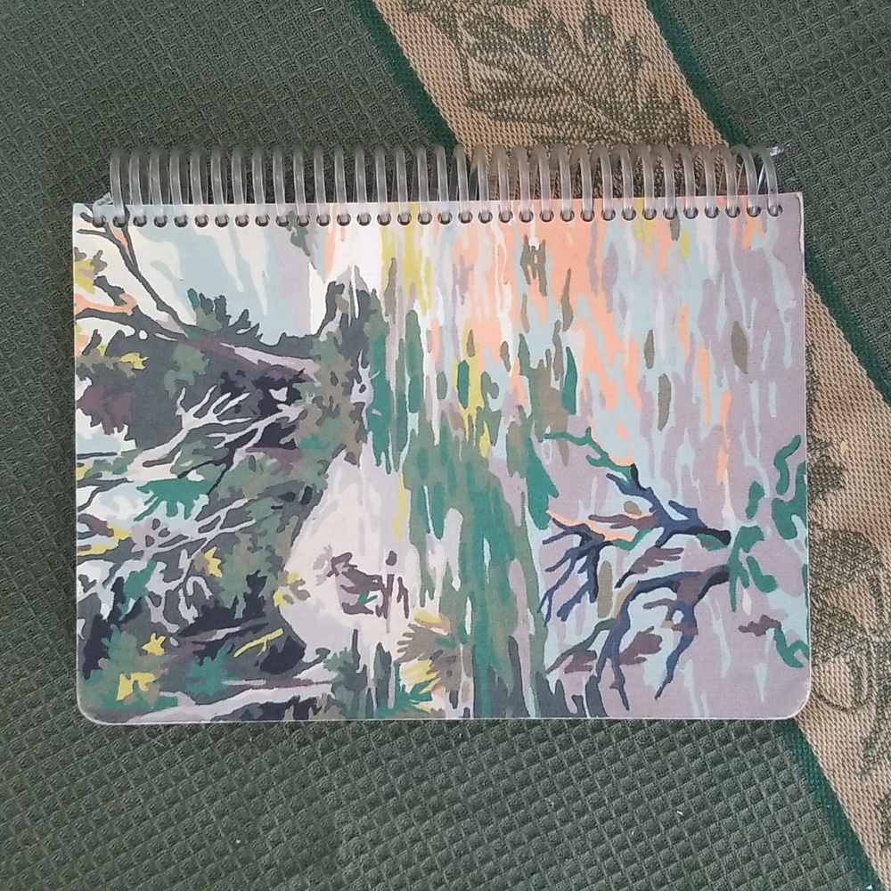 🌿SPIRAL CAMO NOTEBOOK - Picture 2 of 6
